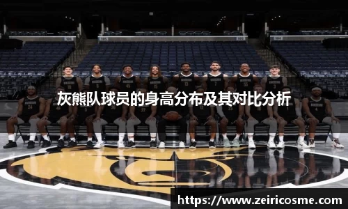 灰熊队球员的身高分布及其对比分析